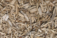 biomass boilers Dore